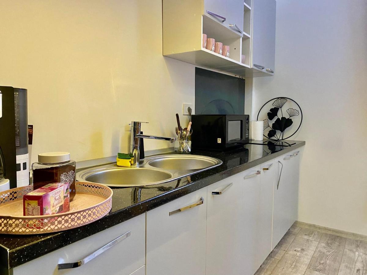 Apartament Sweet cozy studio ultracentral NEW Kluż-Napoka Zewnętrze zdjęcie