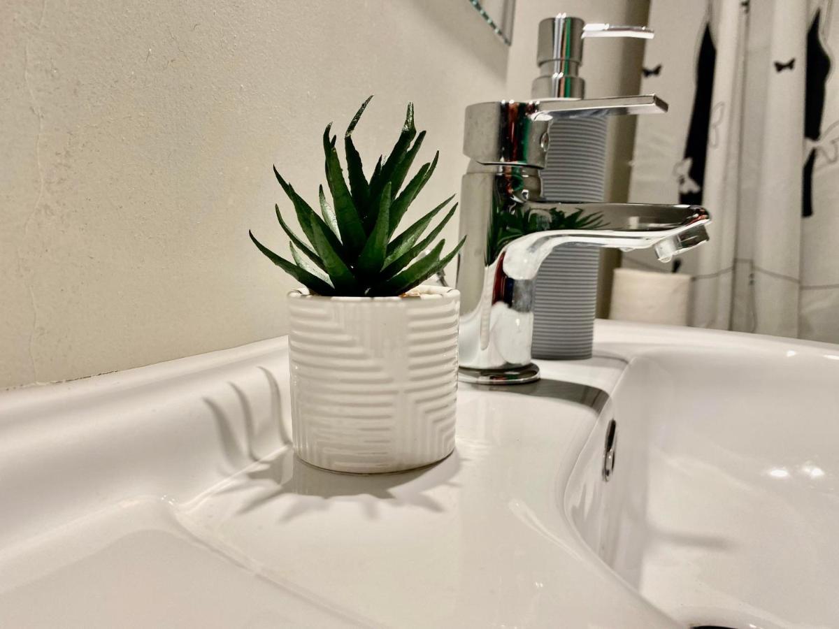Apartament Sweet cozy studio ultracentral NEW Kluż-Napoka Zewnętrze zdjęcie