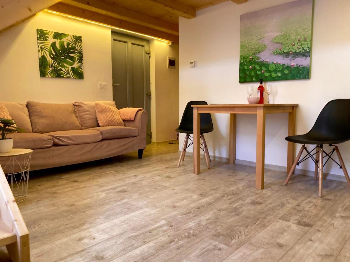 Apartament Sweet cozy studio ultracentral NEW Kluż-Napoka Zewnętrze zdjęcie